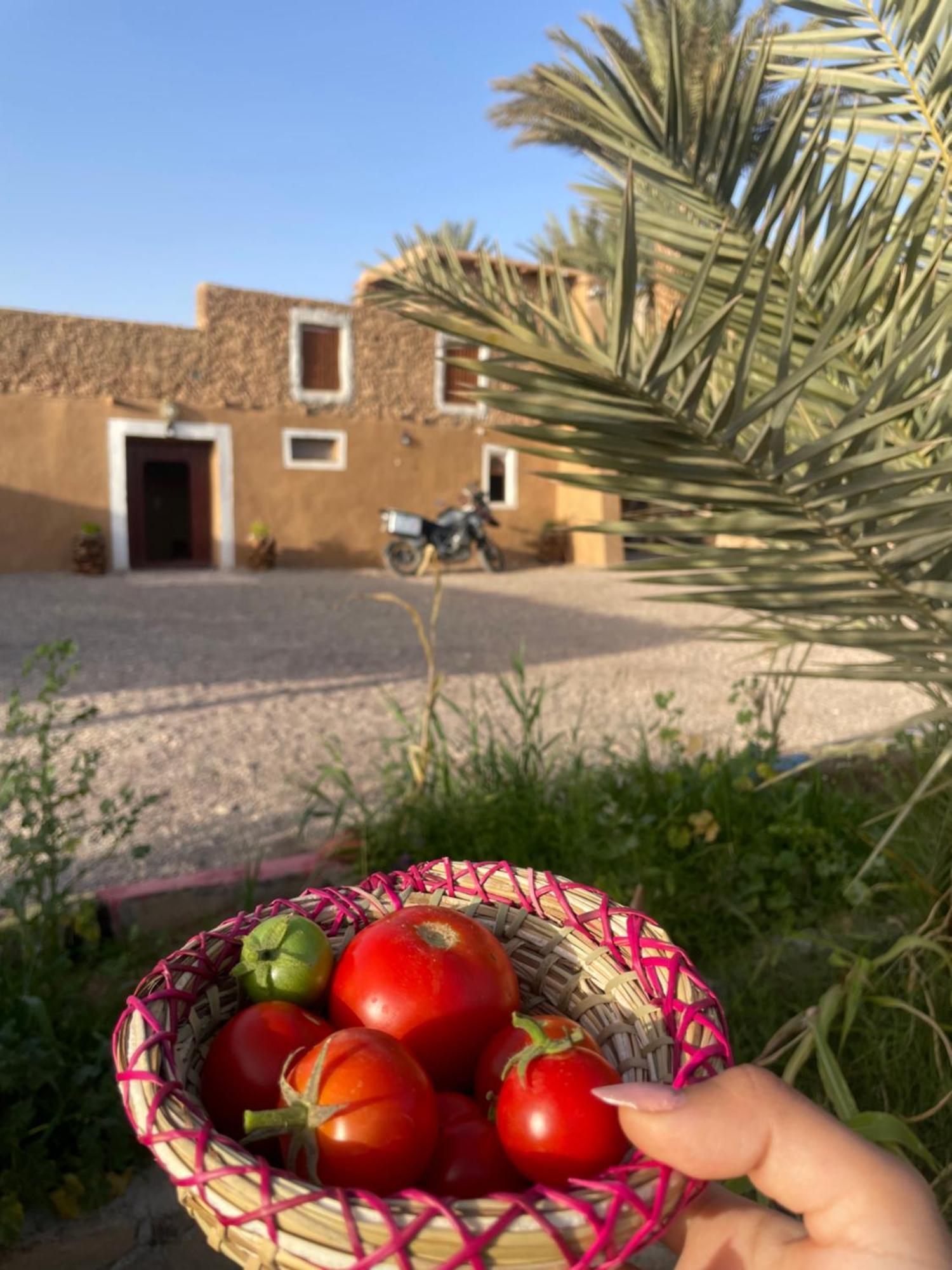 Maison D'Hote Dar Imrane Tata ภายนอก รูปภาพ